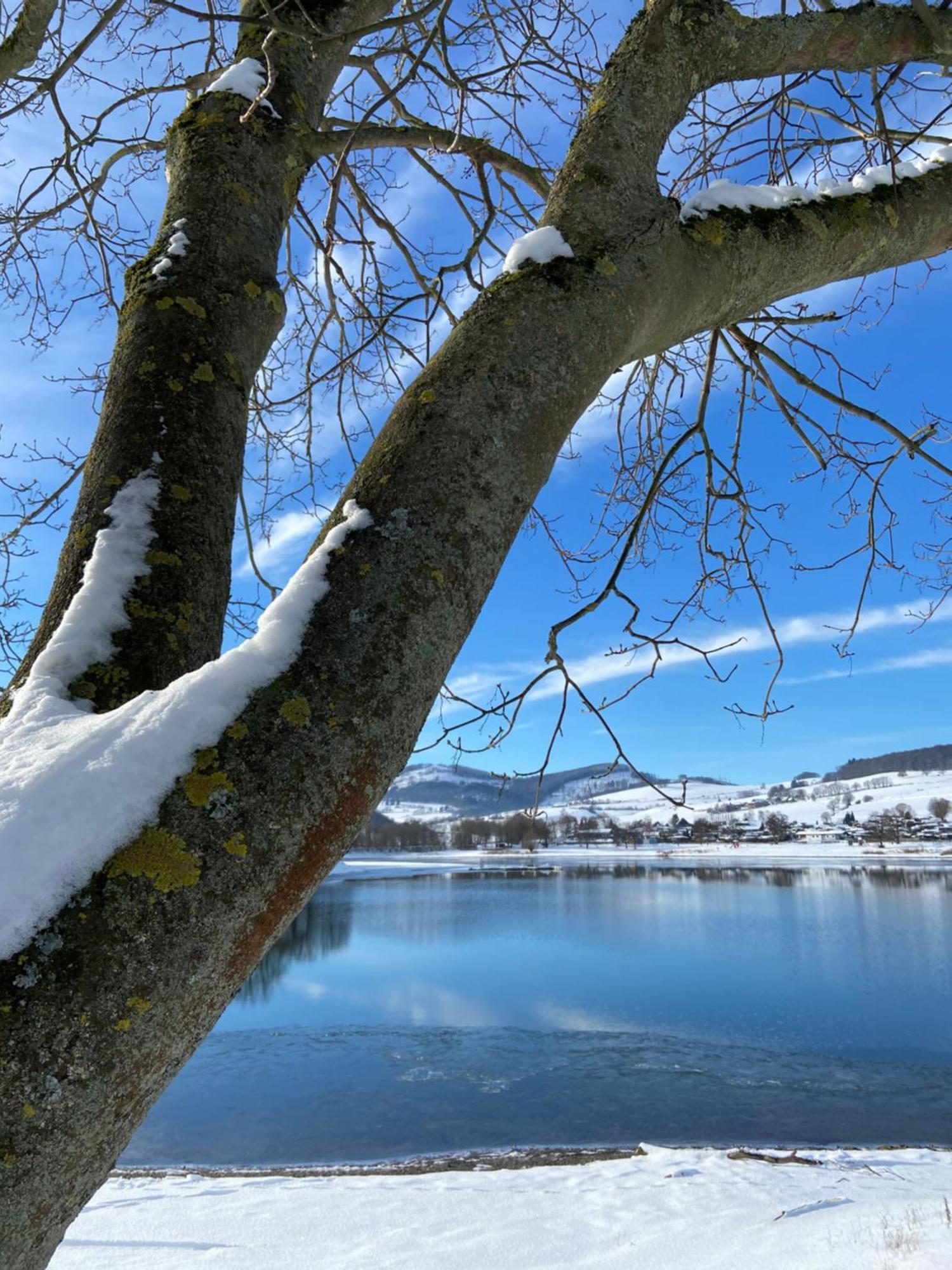 Fewo Panorama Diemelsee Eksteriør bilde