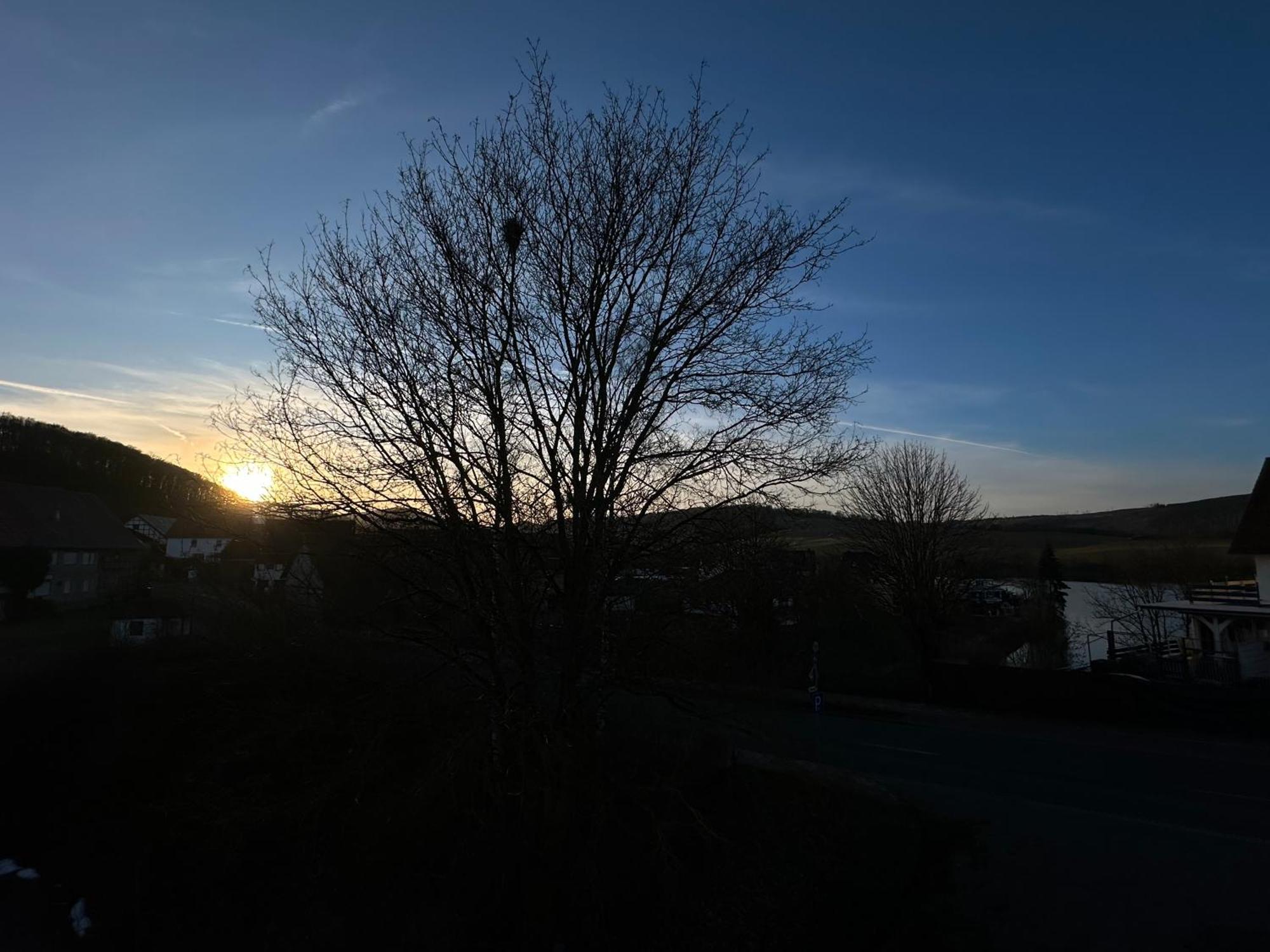 Fewo Panorama Diemelsee Eksteriør bilde
